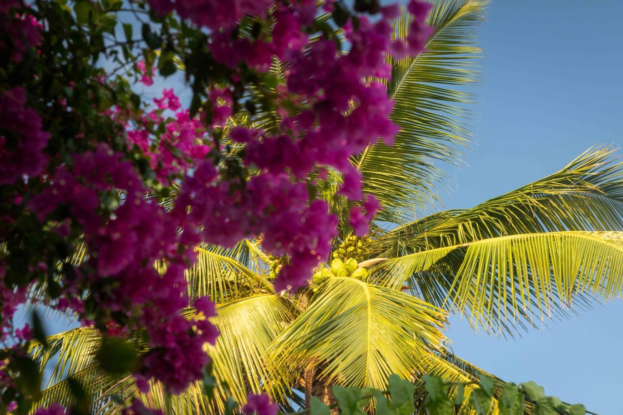 Sharazad Boutique Hotel جامبياني المظهر الخارجي الصورة